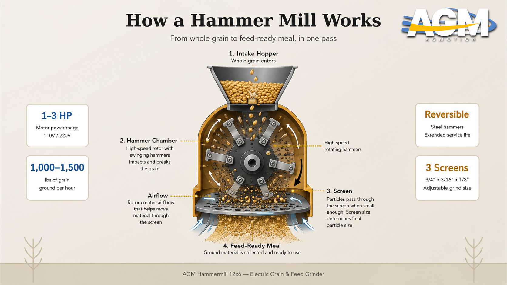 Diagram showing how a hammer mill works: intake hopper, hammer chamber, screen, and feed-ready meal output