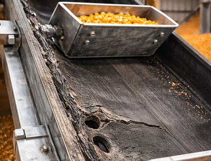 Example of grain elevator belt wear with cracks and elongated bolt holes under metal grain buckets.