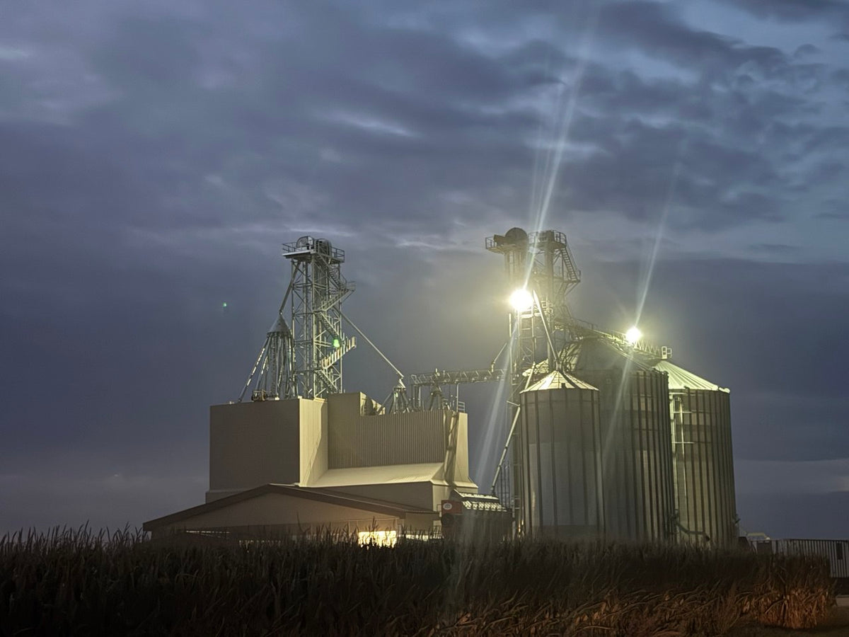 Grain handling facility at dusk